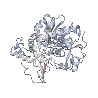 22830_7kdv_B_v1-1
Murine core lysosomal multienzyme complex (LMC) composed of acid beta-galactosidase (GLB1) and protective protein cathepsin A (PPCA, CTSA)