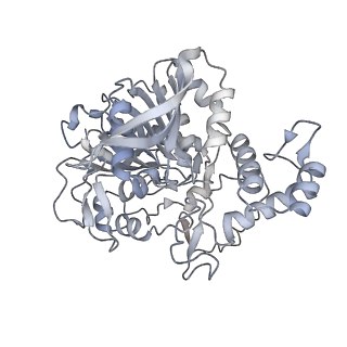 22830_7kdv_D_v1-1
Murine core lysosomal multienzyme complex (LMC) composed of acid beta-galactosidase (GLB1) and protective protein cathepsin A (PPCA, CTSA)