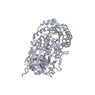 22830_7kdv_E_v1-1
Murine core lysosomal multienzyme complex (LMC) composed of acid beta-galactosidase (GLB1) and protective protein cathepsin A (PPCA, CTSA)