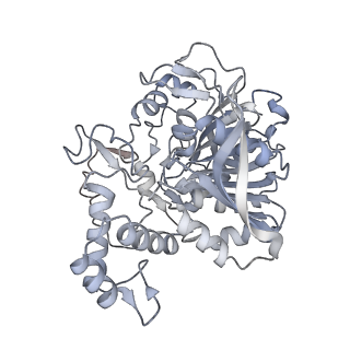22830_7kdv_H_v1-1
Murine core lysosomal multienzyme complex (LMC) composed of acid beta-galactosidase (GLB1) and protective protein cathepsin A (PPCA, CTSA)