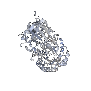 22830_7kdv_I_v1-1
Murine core lysosomal multienzyme complex (LMC) composed of acid beta-galactosidase (GLB1) and protective protein cathepsin A (PPCA, CTSA)