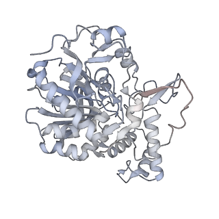 22830_7kdv_J_v1-1
Murine core lysosomal multienzyme complex (LMC) composed of acid beta-galactosidase (GLB1) and protective protein cathepsin A (PPCA, CTSA)