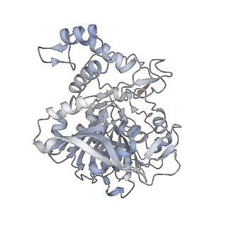 22830_7kdv_L_v1-1
Murine core lysosomal multienzyme complex (LMC) composed of acid beta-galactosidase (GLB1) and protective protein cathepsin A (PPCA, CTSA)