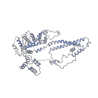 37122_8kd2_B_v1-2
Rpd3S in complex with 187bp nucleosome