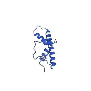 37122_8kd2_Q_v1-2
Rpd3S in complex with 187bp nucleosome