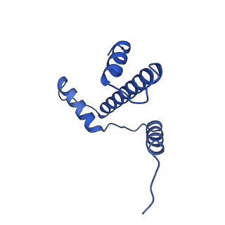 37122_8kd2_S_v1-2
Rpd3S in complex with 187bp nucleosome