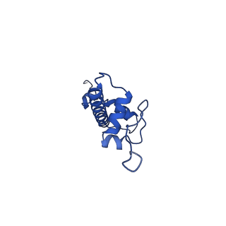 37122_8kd2_U_v1-2
Rpd3S in complex with 187bp nucleosome