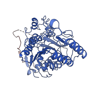37123_8kd3_A_v1-2
Rpd3S in complex with nucleosome with H3K36MLA modification, H3K9Q mutation and 187bp DNA