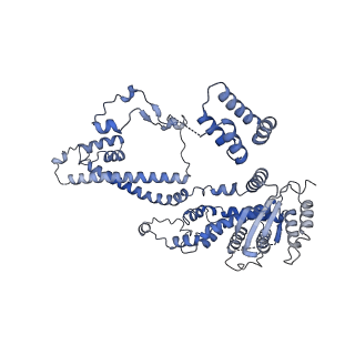 37123_8kd3_B_v1-2
Rpd3S in complex with nucleosome with H3K36MLA modification, H3K9Q mutation and 187bp DNA