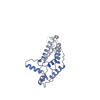 37123_8kd3_D_v1-2
Rpd3S in complex with nucleosome with H3K36MLA modification, H3K9Q mutation and 187bp DNA