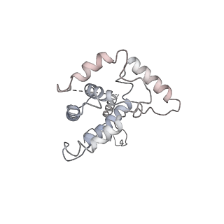 37123_8kd3_F_v1-2
Rpd3S in complex with nucleosome with H3K36MLA modification, H3K9Q mutation and 187bp DNA