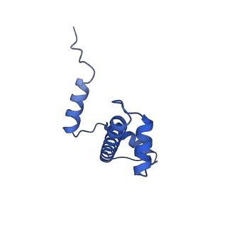 37123_8kd3_O_v1-2
Rpd3S in complex with nucleosome with H3K36MLA modification, H3K9Q mutation and 187bp DNA