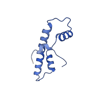37123_8kd3_T_v1-2
Rpd3S in complex with nucleosome with H3K36MLA modification, H3K9Q mutation and 187bp DNA