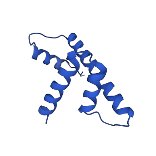 37123_8kd3_V_v1-2
Rpd3S in complex with nucleosome with H3K36MLA modification, H3K9Q mutation and 187bp DNA