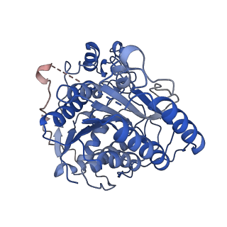 37124_8kd4_A_v1-2
Rpd3S in complex with nucleosome with H3K36MLA modification and 187bp DNA, class1