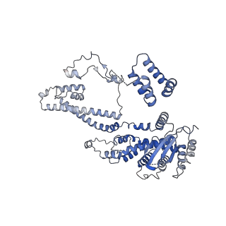37124_8kd4_B_v1-2
Rpd3S in complex with nucleosome with H3K36MLA modification and 187bp DNA, class1