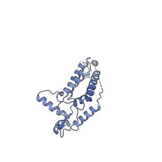 37124_8kd4_D_v1-2
Rpd3S in complex with nucleosome with H3K36MLA modification and 187bp DNA, class1