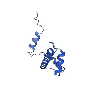 37124_8kd4_O_v1-2
Rpd3S in complex with nucleosome with H3K36MLA modification and 187bp DNA, class1