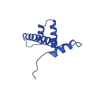 37124_8kd4_R_v1-2
Rpd3S in complex with nucleosome with H3K36MLA modification and 187bp DNA, class1