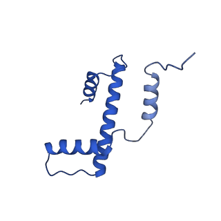 37124_8kd4_S_v1-2
Rpd3S in complex with nucleosome with H3K36MLA modification and 187bp DNA, class1