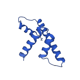 37124_8kd4_V_v1-2
Rpd3S in complex with nucleosome with H3K36MLA modification and 187bp DNA, class1