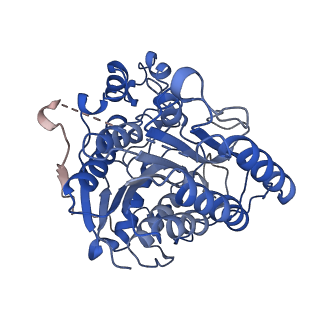 37125_8kd5_A_v1-2
Rpd3S in complex with nucleosome with H3K36MLA modification and 187bp DNA, class2