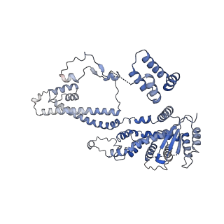 37125_8kd5_B_v1-2
Rpd3S in complex with nucleosome with H3K36MLA modification and 187bp DNA, class2