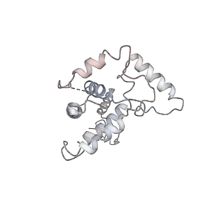 37125_8kd5_F_v1-2
Rpd3S in complex with nucleosome with H3K36MLA modification and 187bp DNA, class2