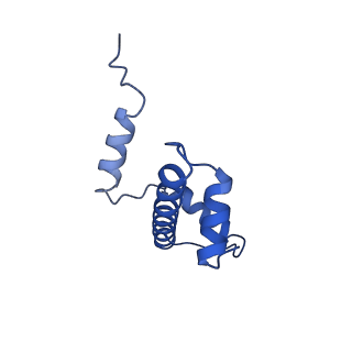 37125_8kd5_O_v1-2
Rpd3S in complex with nucleosome with H3K36MLA modification and 187bp DNA, class2