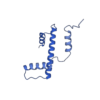 37125_8kd5_S_v1-2
Rpd3S in complex with nucleosome with H3K36MLA modification and 187bp DNA, class2