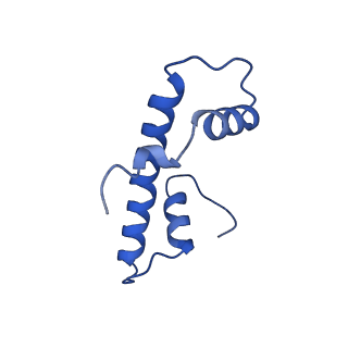 37125_8kd5_T_v1-2
Rpd3S in complex with nucleosome with H3K36MLA modification and 187bp DNA, class2