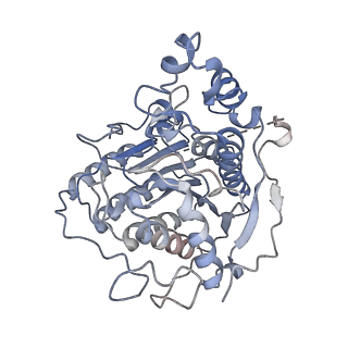 37126_8kd6_A_v1-2
Rpd3S in complex with nucleosome with H3K36MLA modification and 187bp DNA, class3