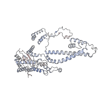 37126_8kd6_B_v1-2
Rpd3S in complex with nucleosome with H3K36MLA modification and 187bp DNA, class3