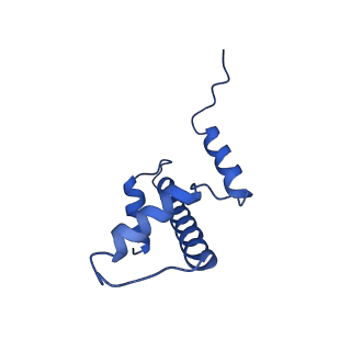 37126_8kd6_O_v1-2
Rpd3S in complex with nucleosome with H3K36MLA modification and 187bp DNA, class3
