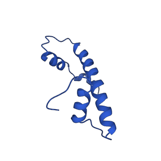 37126_8kd6_T_v1-2
Rpd3S in complex with nucleosome with H3K36MLA modification and 187bp DNA, class3