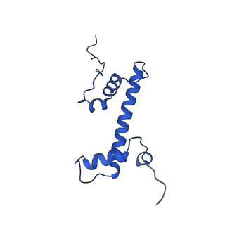 37126_8kd6_U_v1-2
Rpd3S in complex with nucleosome with H3K36MLA modification and 187bp DNA, class3