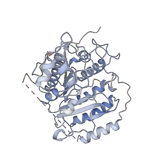 37127_8kd7_A_v1-2
Rpd3S in complex with nucleosome with H3K36MLA modification and 167bp DNA