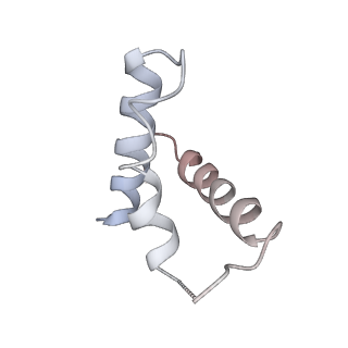 37127_8kd7_F_v1-2
Rpd3S in complex with nucleosome with H3K36MLA modification and 167bp DNA