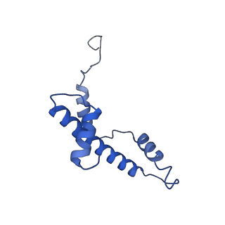 37127_8kd7_O_v1-2
Rpd3S in complex with nucleosome with H3K36MLA modification and 167bp DNA
