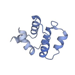 22233_7keu_C_v1-1
Cryo-EM structure of the Caspase-1-CARD:ASC-CARD octamer