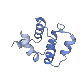 22233_7keu_C_v1-2
Cryo-EM structure of the Caspase-1-CARD:ASC-CARD octamer