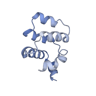 22233_7keu_D_v1-2
Cryo-EM structure of the Caspase-1-CARD:ASC-CARD octamer