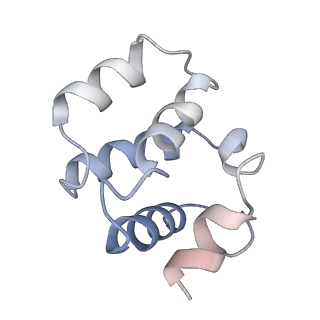 22233_7keu_E_v1-2
Cryo-EM structure of the Caspase-1-CARD:ASC-CARD octamer