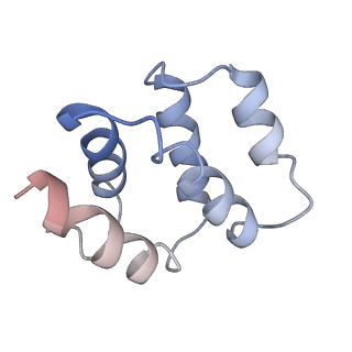 22233_7keu_F_v1-2
Cryo-EM structure of the Caspase-1-CARD:ASC-CARD octamer