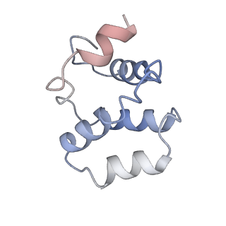 22233_7keu_G_v1-2
Cryo-EM structure of the Caspase-1-CARD:ASC-CARD octamer