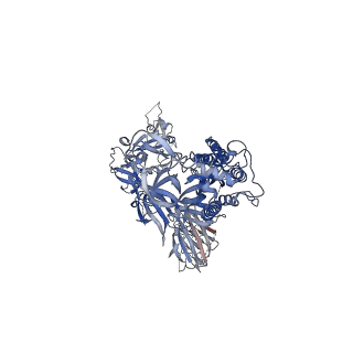 22831_7ke4_A_v1-1
SARS-CoV-2 D614G 3 RBD down Spike Protein Trimer without the P986-P987 stabilizing mutations (S-GSAS-D614G Sub-class)