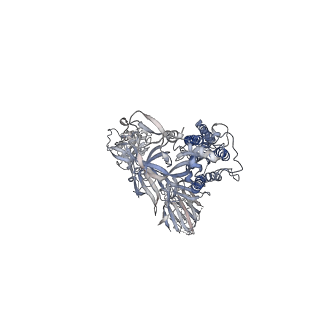 22837_7keb_B_v1-1
SARS-CoV-2 D614G 1RBD up Spike Protein Trimer without the P986-P987 stabilizing mutations (S-GSAS-D614G sub-classification)