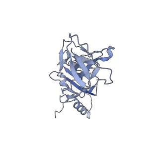 22841_7kew_A_v1-0
Bundibugyo virus GP (mucin deleted) bound to antibody Fab BDBV-43
