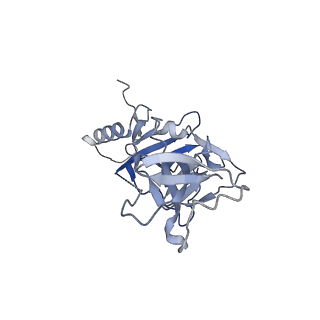 22841_7kew_C_v1-0
Bundibugyo virus GP (mucin deleted) bound to antibody Fab BDBV-43