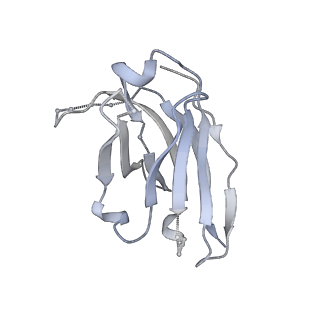 22841_7kew_H_v1-0
Bundibugyo virus GP (mucin deleted) bound to antibody Fab BDBV-43